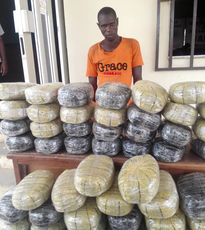 Ashoko, most wanted drug baron arrested in Nasarawa