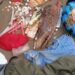 Suspected Yahoo Boy Runs Mad In Aba, Fetish Items Found In His Mercedes Benz (Video)