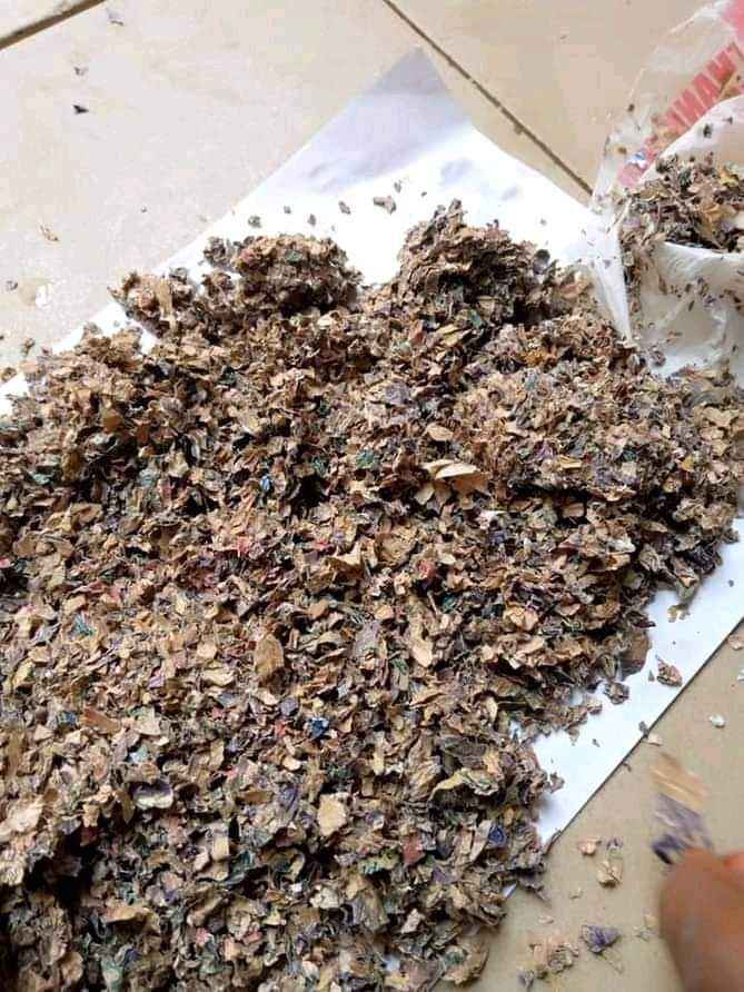 Huge Amount Of Decayed Foreign Currencies Recovered At Customs Officer’s House In Kano (Photo)