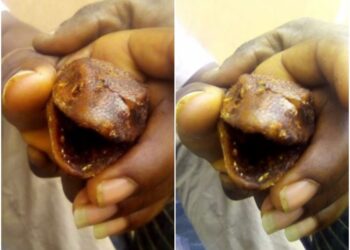 Man Cries Out After He Was Served This Strange Animal at A Chinese Birthday Party (Photo)
