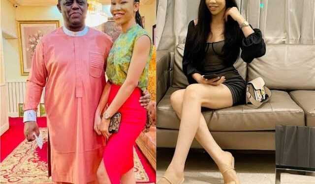 “Fani-Kayode Can’t Raise Our Children, Leaves Them With Girlfriends, Nannies” – Ex Wife Tells Court