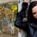 Tragic As Model Mauled By Leopard After Getting Into Its Cage During Photoshoot