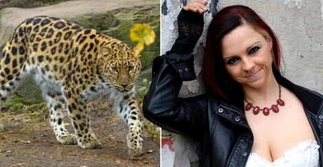 Tragic As Model Mauled By Leopard After Getting Into Its Cage During Photoshoot