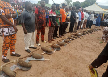 Nigerians React As Cross River LG Chairman Empowers Constituents Each With One Tuber Of Yam, Hoe And Cutlass (Photos)