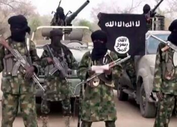 ISWAP Plunges Maiduguri into Darkness After Blowing up High Tension Electricity Lines