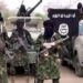 ISWAP Plunges Maiduguri into Darkness After Blowing up High Tension Electricity Lines
