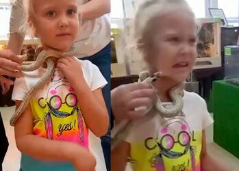 See The Horrifying Moment 5-year-old Girl Was Bitten On The Face By Snake At Petting Zoo (Video)