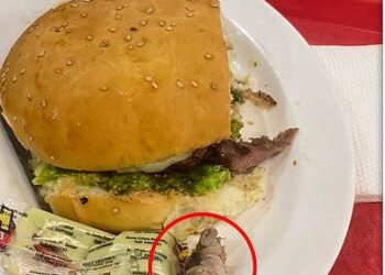 Shocking! Woman Finds Rotting Human Finger In Her Hamburger At Fast Food Restaurant (Photos)