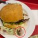 Shocking! Woman Finds Rotting Human Finger In Her Hamburger At Fast Food Restaurant (Photos)