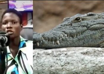 Drama As Lady Claimed She Was Impregnated By Crocodile (Video)