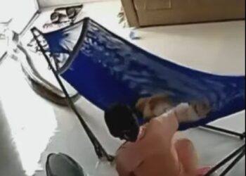 Graphic Video: Horror As Woman Narrowly Escapes As Giant Snake Almost Swallows Her Baby (Viewer Discretion)