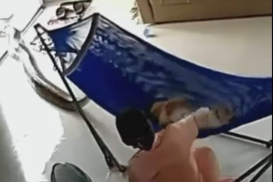 Graphic Video: Horror As Woman Narrowly Escapes As Giant Snake Almost Swallows Her Baby (Viewer Discretion)