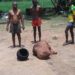 Three Suspected Ritualists With Butchered Corpse Paraded by Amotekun In Ibadan (Photos)