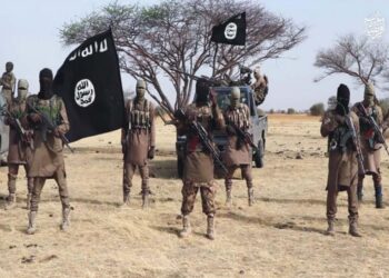 Boko Haram: 13,243 Terrorists With Families Surrender In North East