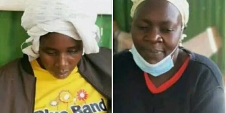 Two Women Arrested For Stealing Newborn Baby From 17-year-old Mother (PHOTO)