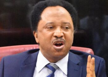 Buhari Govt Has Run Out Of Ideas In Tackling Bandits – Shehu Sani