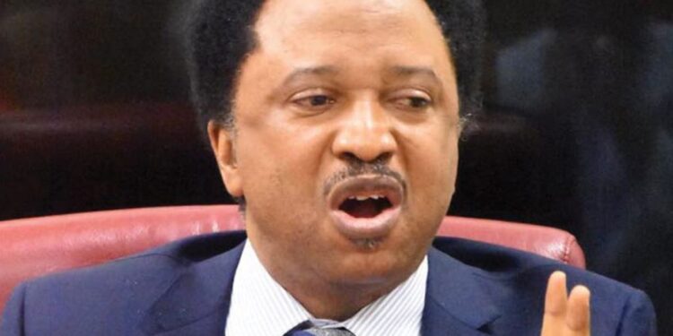 Buhari Govt Has Run Out Of Ideas In Tackling Bandits – Shehu Sani