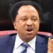 Buhari Govt Has Run Out Of Ideas In Tackling Bandits – Shehu Sani