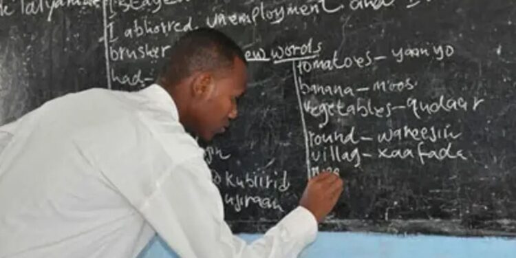 Cross River: We Buy Chalk With Our Own Money – Teachers Cry Out