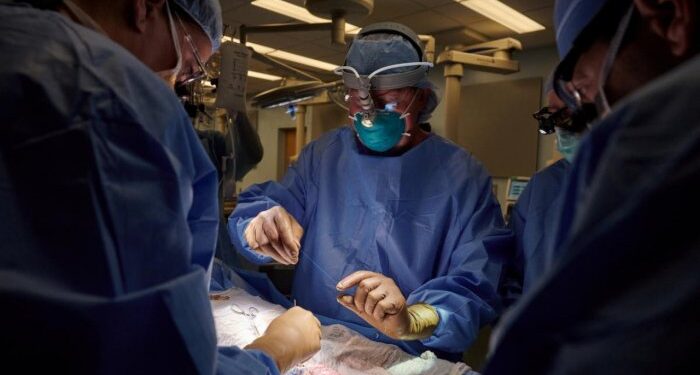 Wow! U.S. Surgeons Successfully Attach A Pig Kidney To A Human And It Works (Photos)