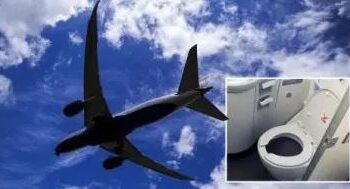 Drama As Flying Plane Drops Human Poo On Man Sitting In His Garden