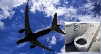 Drama As Flying Plane Drops Human Poo On Man Sitting In His Garden