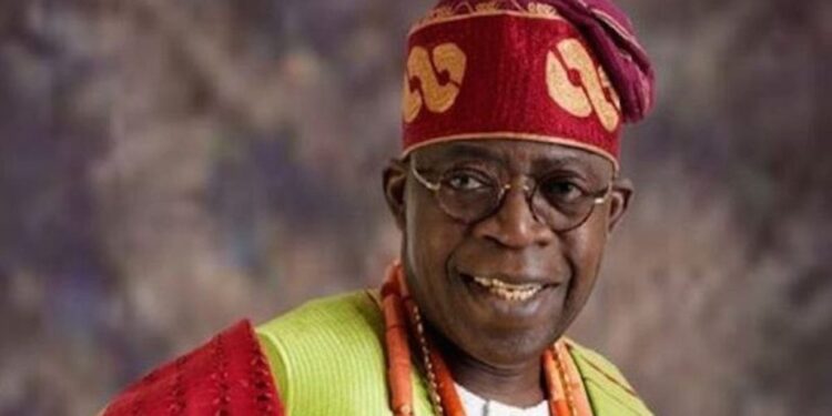 2023: We Will Leave No Stone Unturned To Make Tinubu Nigeria’s President – Arewa Youths