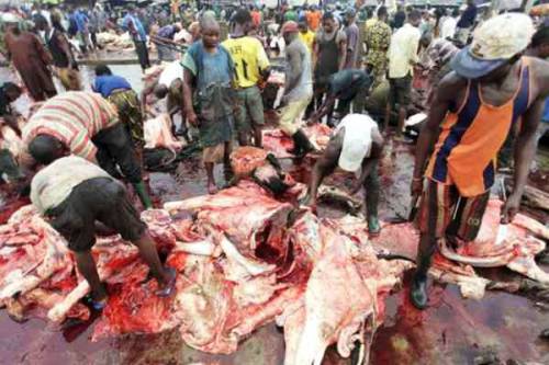 Beef Markets Shut Down As Cult Groups Demand N1,000 Levy On Each Slaughtered Cow