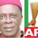Update: APC Rejects Anambra Election Results, Alleges Rigging