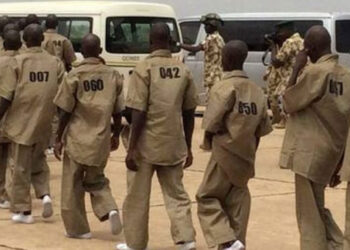 Surrendered Repentant Boko Haram Terrorists Go On Violent Riot Over Cow Meat