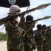 Hundreds Flee Homes As ISWAP Overpowers Army In Borno Town