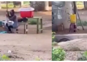 Two Women Arrested For Starting An Eatery Under A Bridge (Video)