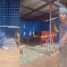 Man Cries Out As Thieves Steal Coffins From His Shop (Video)