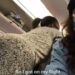 Wahala For Who No Get Yansh: Reactions As Multiple Women Are Unable To Sit On A Plane After Getting Butt Surgery (Video)