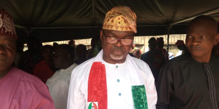 Crisis Rocks Osun PDP As New Acting Chairman Emerges