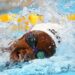 UAE Denies Nigerian Athletes Access To Partake In World Swimming Championships