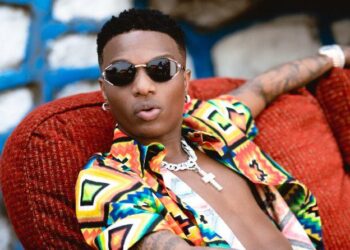 See The Moment Wizkid Punched A Hyperactive Fan During Beach Show In Lagos (Video)