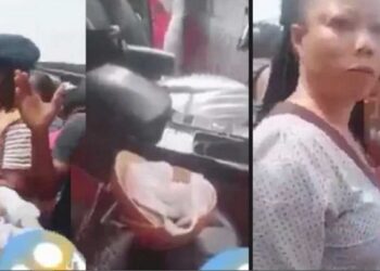 Woman Nearly Lynched By Angry Mob For Sharing ‘Strange’ Meat From A Calabash To Kids (Video)
