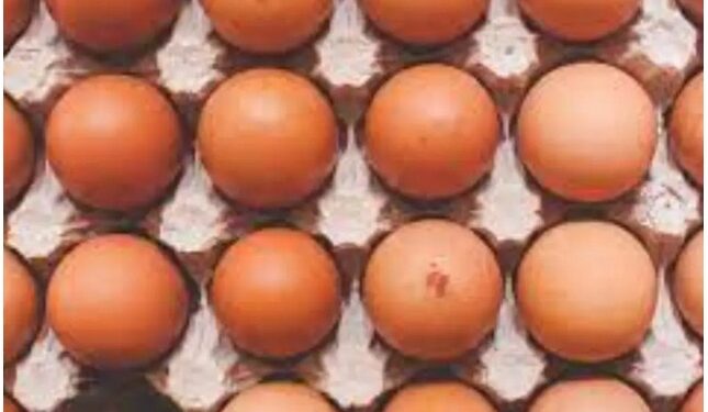 Man Arrested For Advertising And Selling Fake Eggs On Social Media In Osun