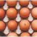 Man Arrested For Advertising And Selling Fake Eggs On Social Media In Osun
