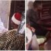 Two Igbo Christians convert to Islam in Enugu