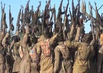 ISWAP Declares Borno Town As West African Caliphate Headquarters