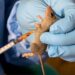 Nigeria Records 48 New Cases Of Lassa Fever In One Week