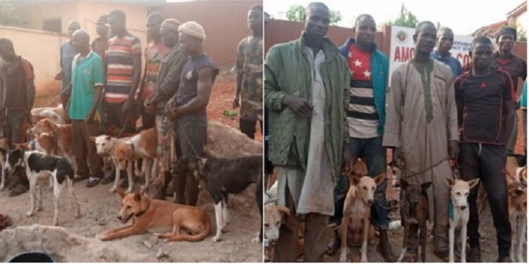 Amotekun Arrests 17 Northerners With 35 Dogs, Charms, Cutlasses In Ondo (Photos)