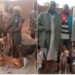 Amotekun Arrests 17 Northerners With 35 Dogs, Charms, Cutlasses In Ondo (Photos)