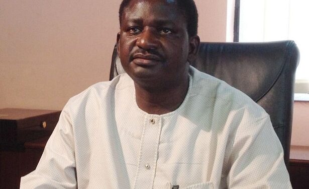 Borrowings To Continue Since Nigerians Kicked Against Fuel Subsidy Removal — Femi Adesina
