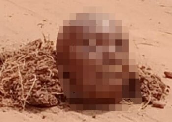 Assailants Behead 65-year-old Man, Display His Head At Primary School In Imo