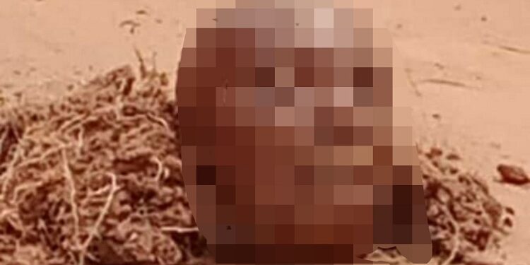 Assailants Behead 65-year-old Man, Display His Head At Primary School In Imo