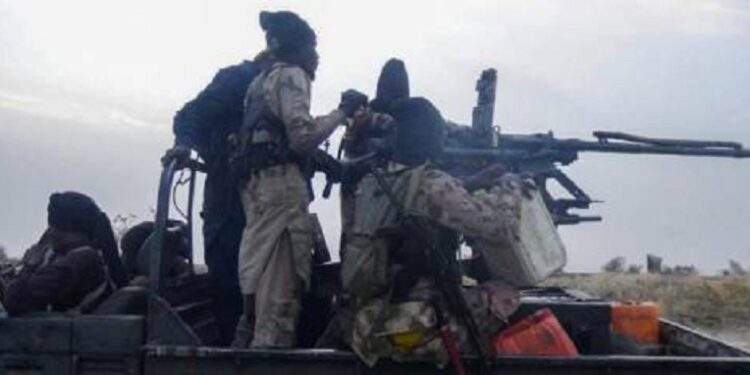 Revealed: Boko Haram Mounts Checkpoints On Borno Highways, Now Collects ‘Taxes’ From Travellers