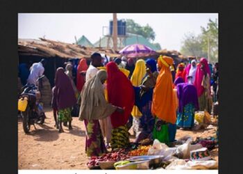 Boko Haram Fighters Establish Two Markets In Borno, Open For Business On Wednesday And Thursday Every Week
